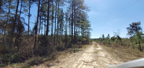 [Nope: Melon Lane off of GA 257]