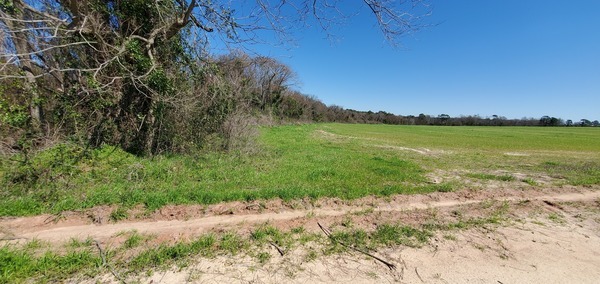 From Melon Road along south branch woods