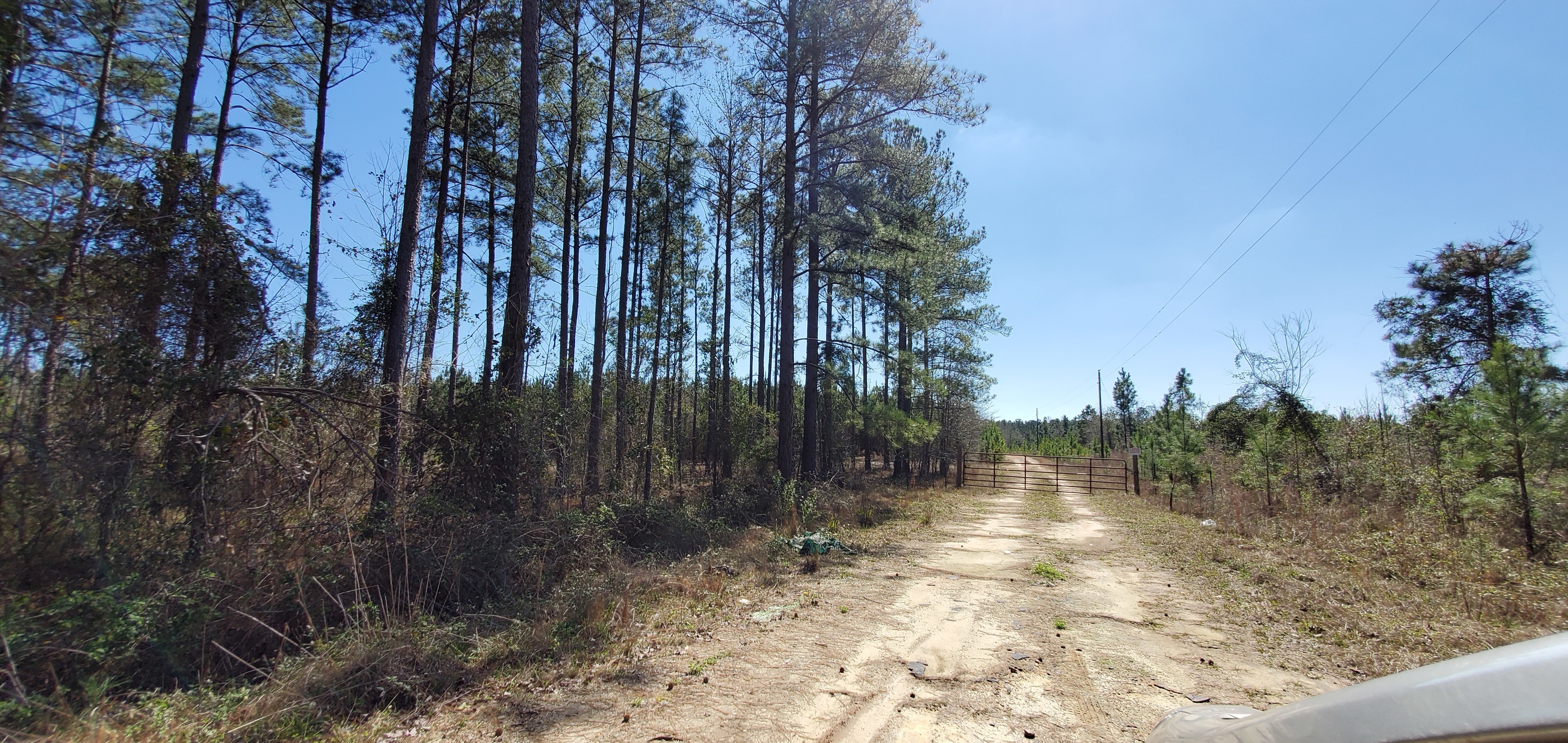 Nope: Melon Lane off of GA 257