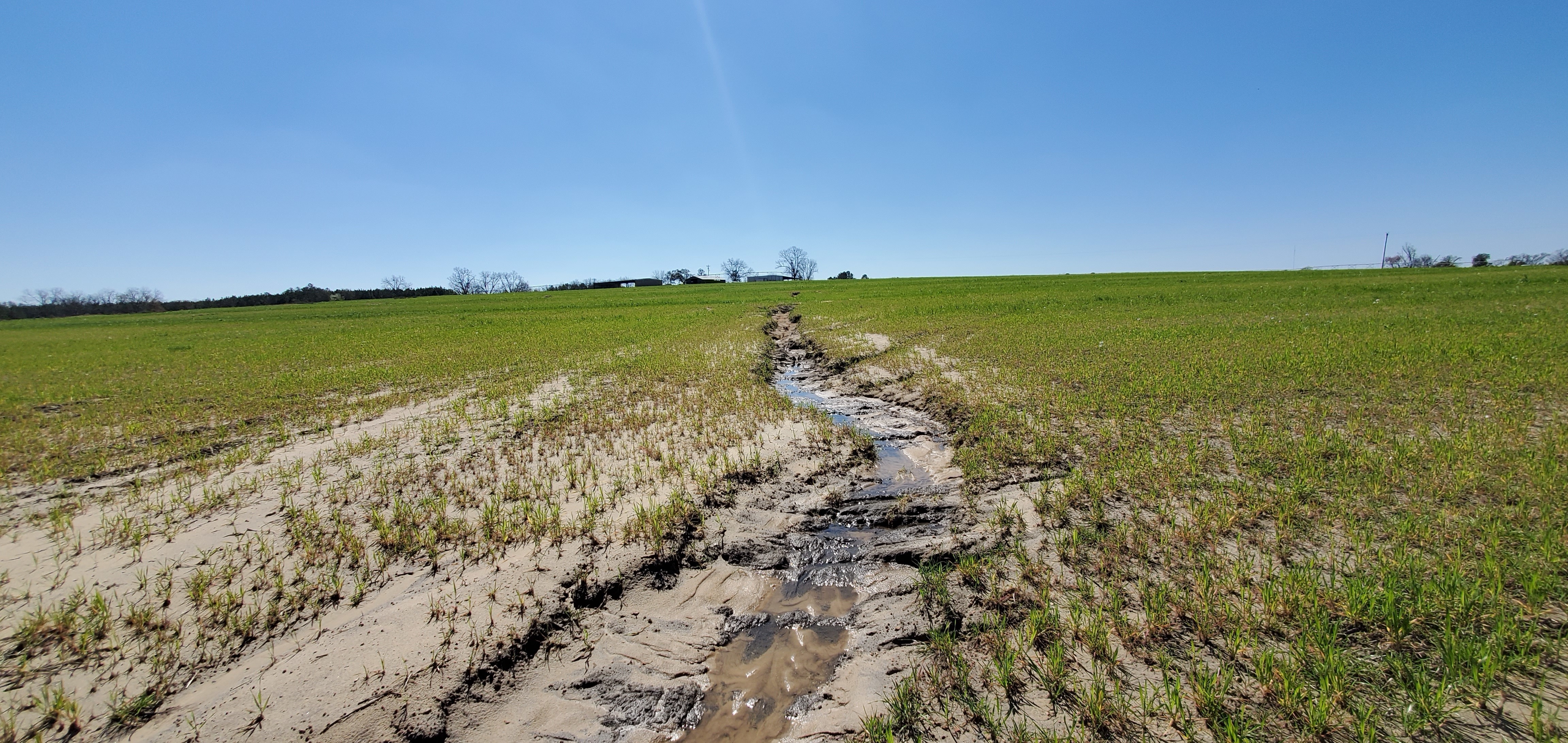 Erosion gully in field