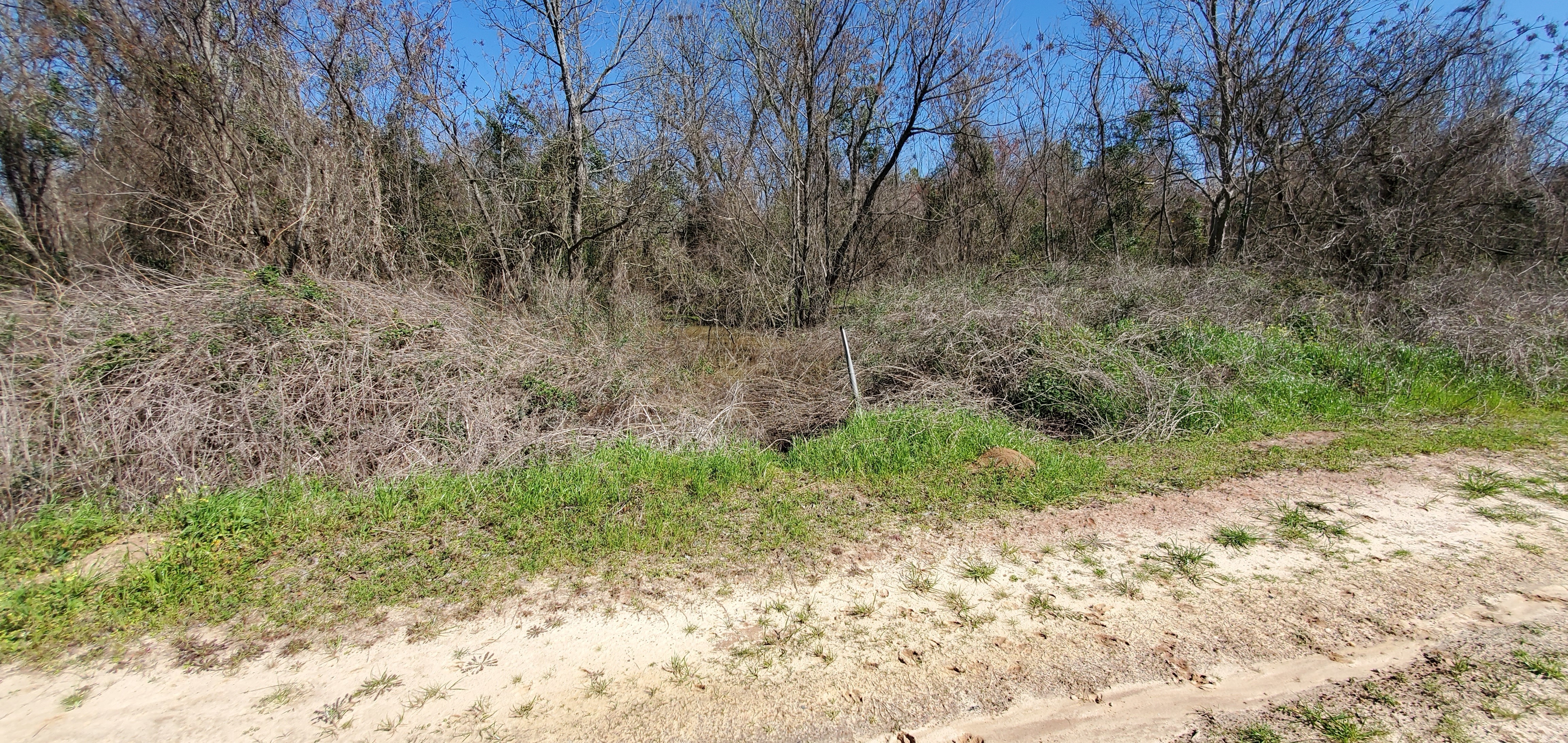 South branch looking downstream (east)