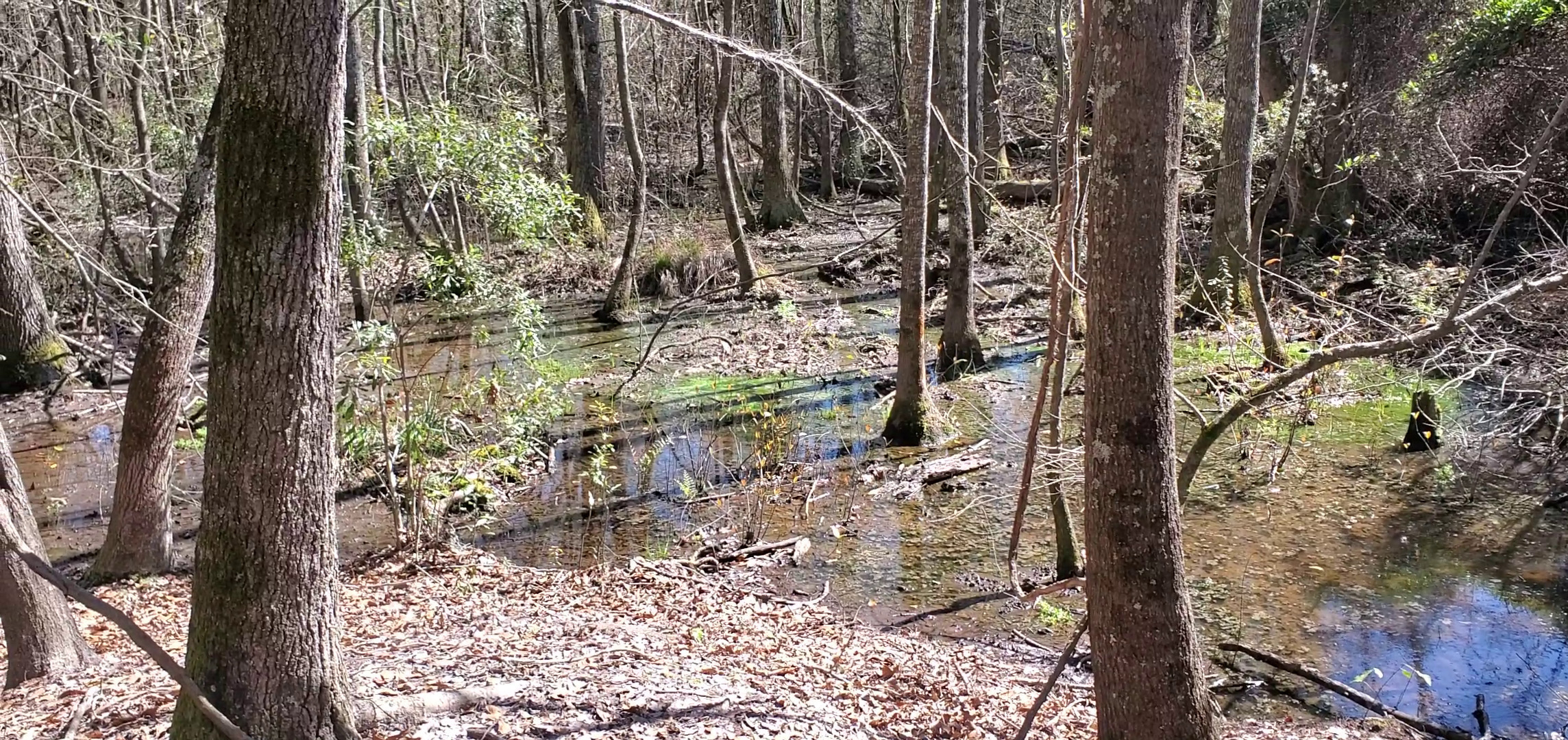 Downstream seen from the mound