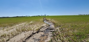 [Erosion gully in field]