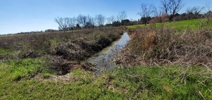 [South branch looking upstream (west)]