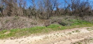 [South branch looking downstream (east)]