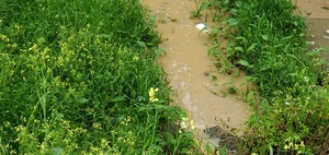 [Closeup Bucket in Crooked Creek]