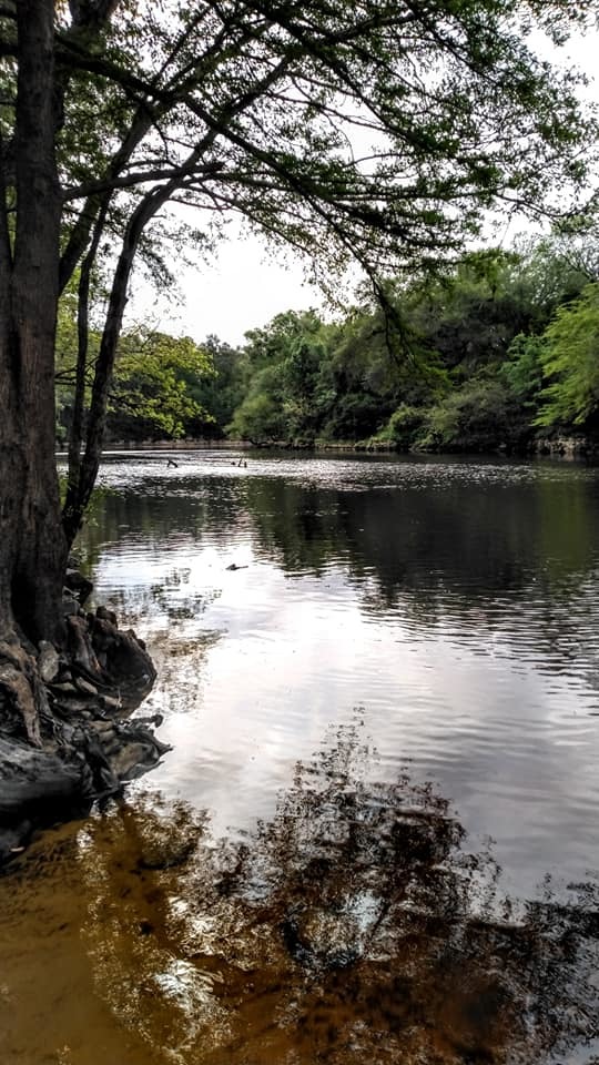 [Withlacoochee River]