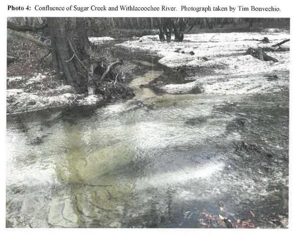 Photo 4: Confluence of Sugar Creek and Withlacoochee River.