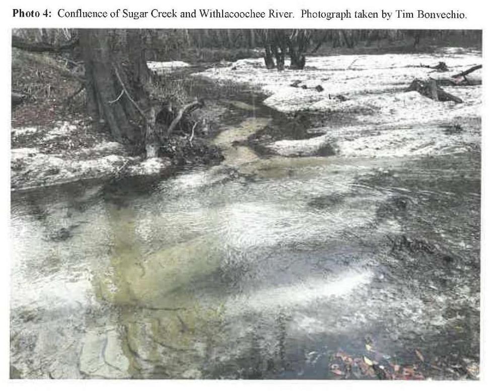 Photo 4: Confluence of Sugar Creek and Withlacoochee River.