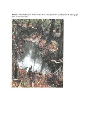 [Photo 6: Discolored water in Withlacoochee River below confluence with Sugar Creek.]