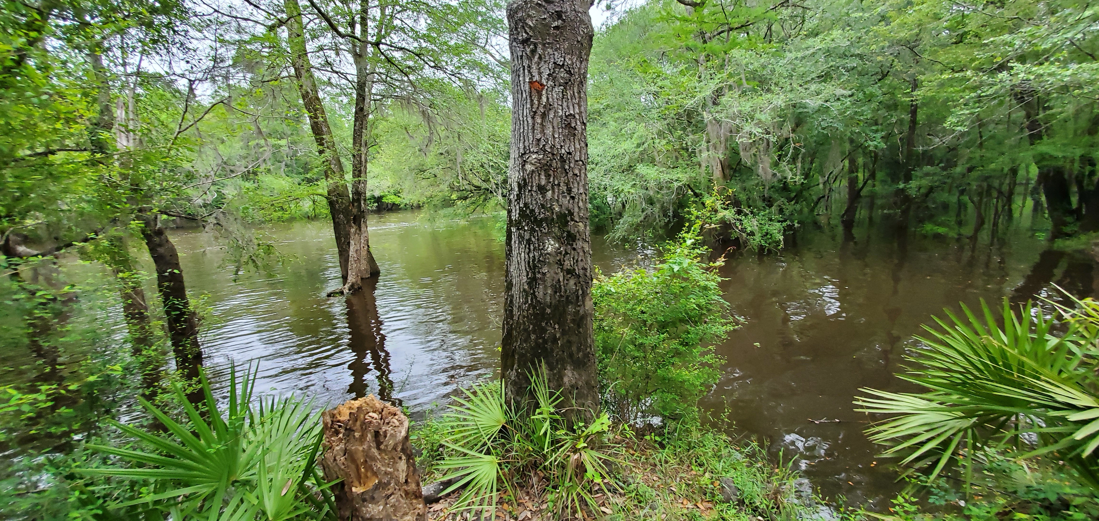 Mosquito Point underwater