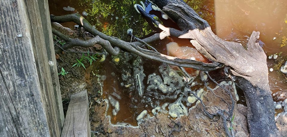 Brown water with foam