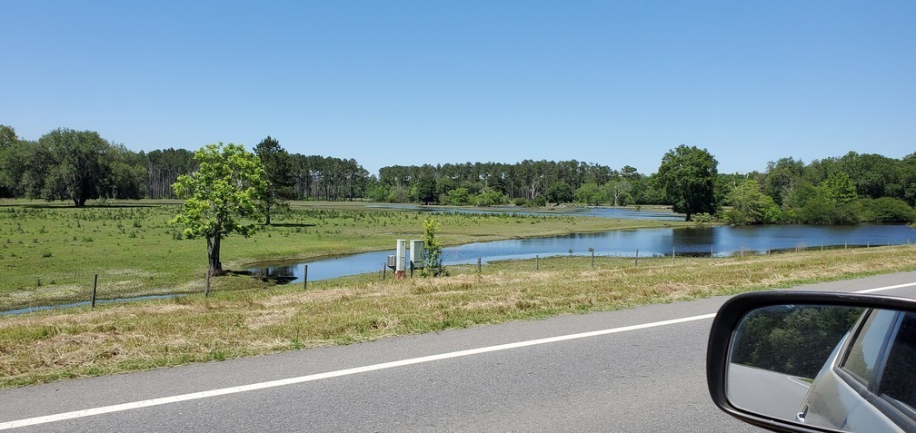 Upstream in pasture