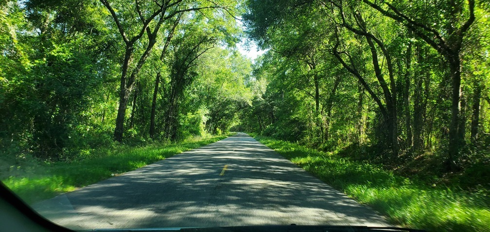 Canopy Road