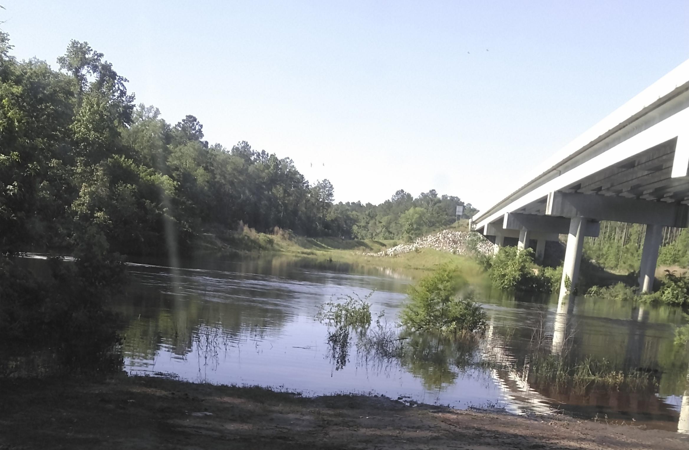 Suzy Hall: State Line Boat Ramp, Withlacoochee River 2020-05-02