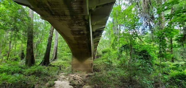 Arches underneath, 11:31:33