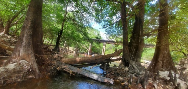 [RR bridge through driftwood, 11:45:54]