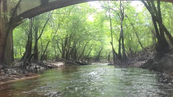 Movie: Paddling under Stone Bridge, 12:05:48 (88M)