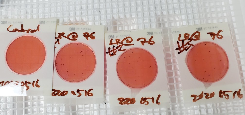 Results: Zero E. coli, 2020:05:17 16:02:34