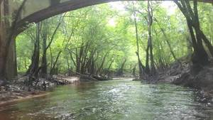 [Movie: Paddling under Stone Bridge, 12:05:48 (88M)]