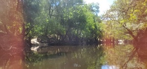 [Runoff or private river launch? 12:12:56]