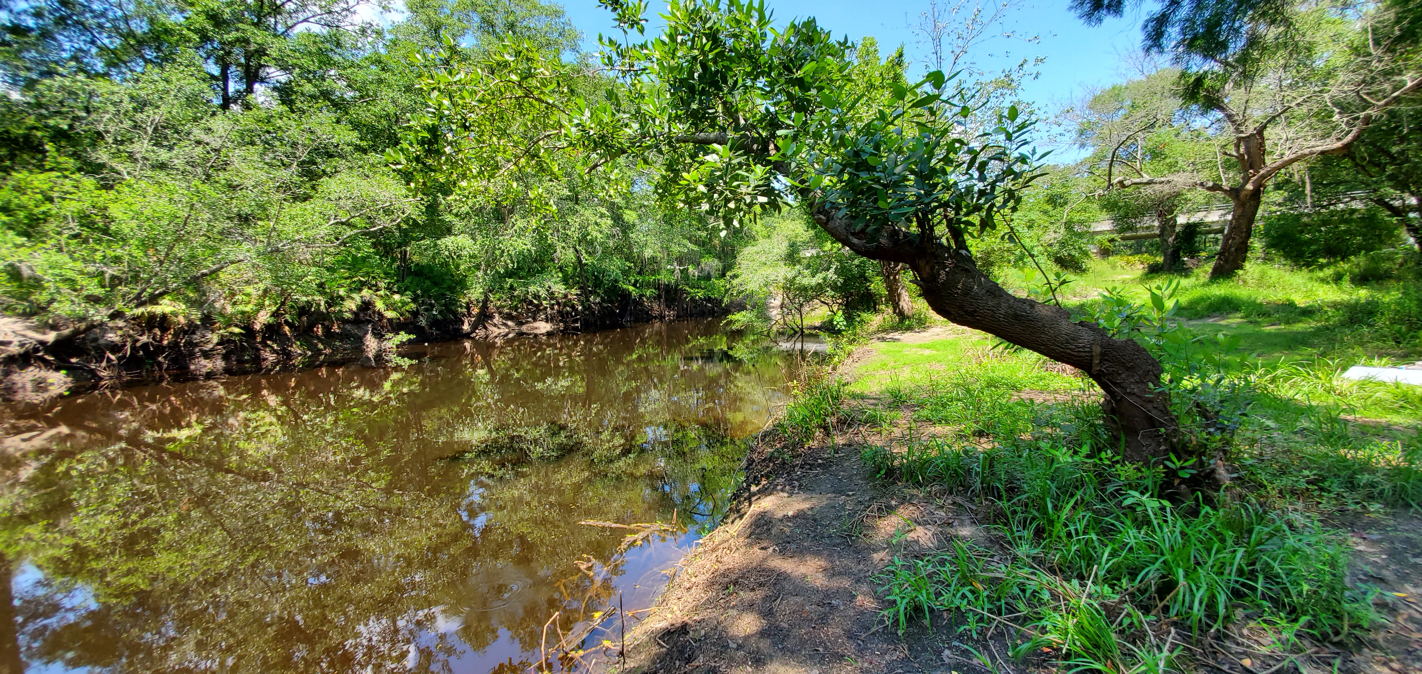 Withlacoochee River @ GA 122