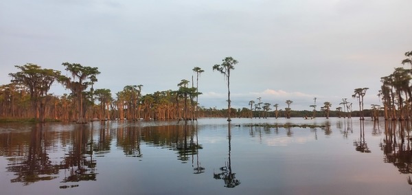 [Spread across the lake]