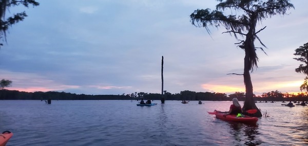 [Cypress and boats]