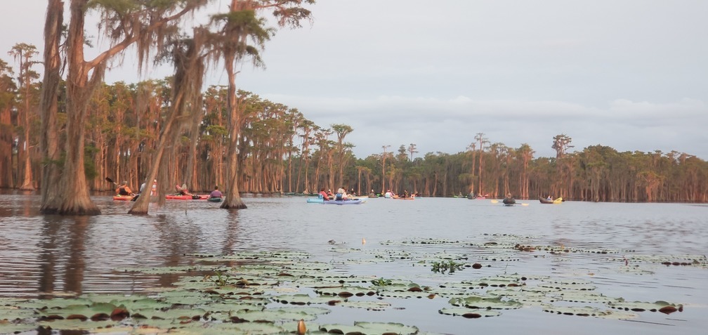 More lily pads and boaters