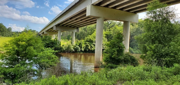 Horn Bridge, GA 31, Withlacoochee River