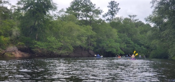 [Paddlers upstream]