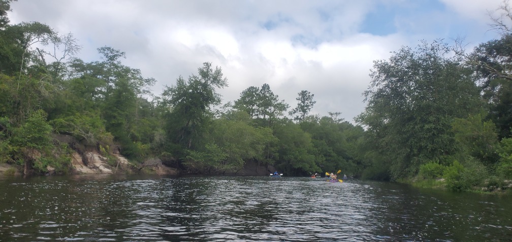 Bluffs and trees