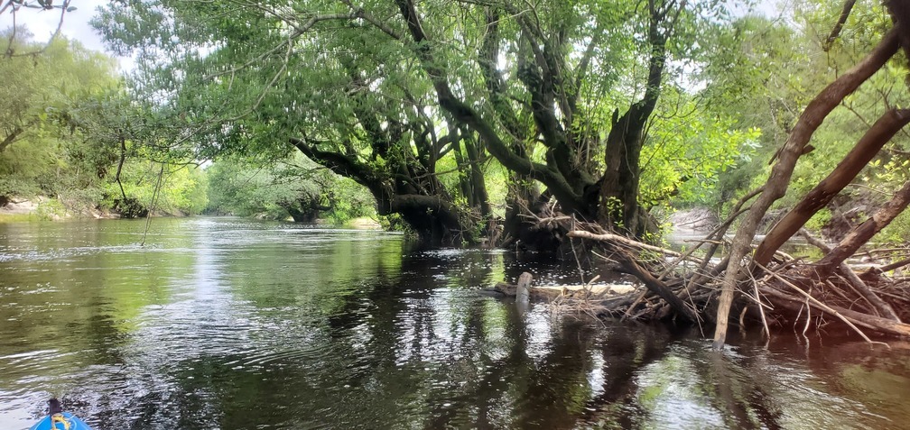 Up past the slough