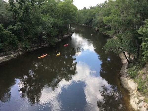 [Paddle Georgia from Spook Bridge, Withlacoochee River]