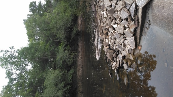 [Troupville Boat Ramp with foam]