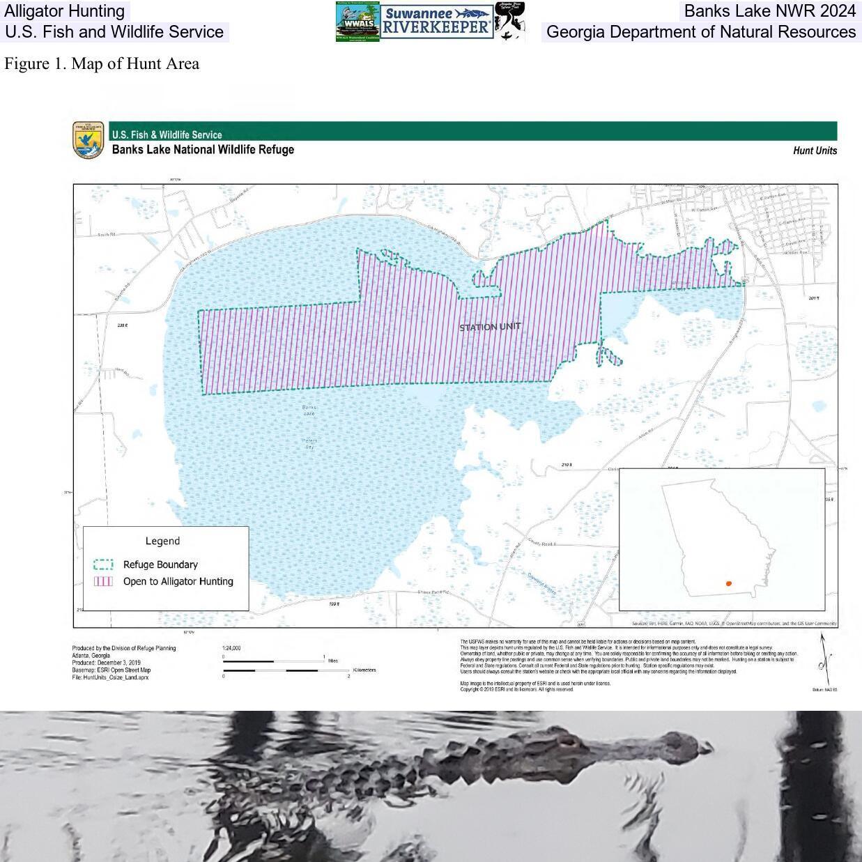 Alligator Hunting in Banks Lake NWR 2024, U.S. Fish and Wildlife Service, Georgia Department of Natural Resources