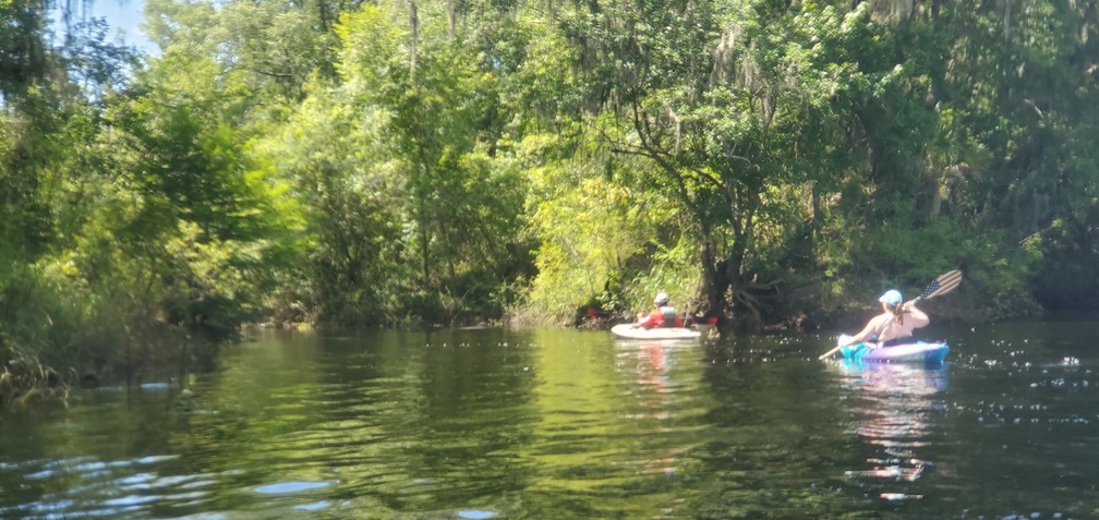 Paddlers in the creek, 2020:07:18 15:27:29, 30.25388, -83.2532