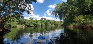 [Suwannee River from Bethel Creek, 2020:07:18 16:32:03, 30.2542089, -83.2536671]