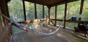 [Hammock (bring your own), 2020:07:19 08:28:26, 30.2468, -83.24581]