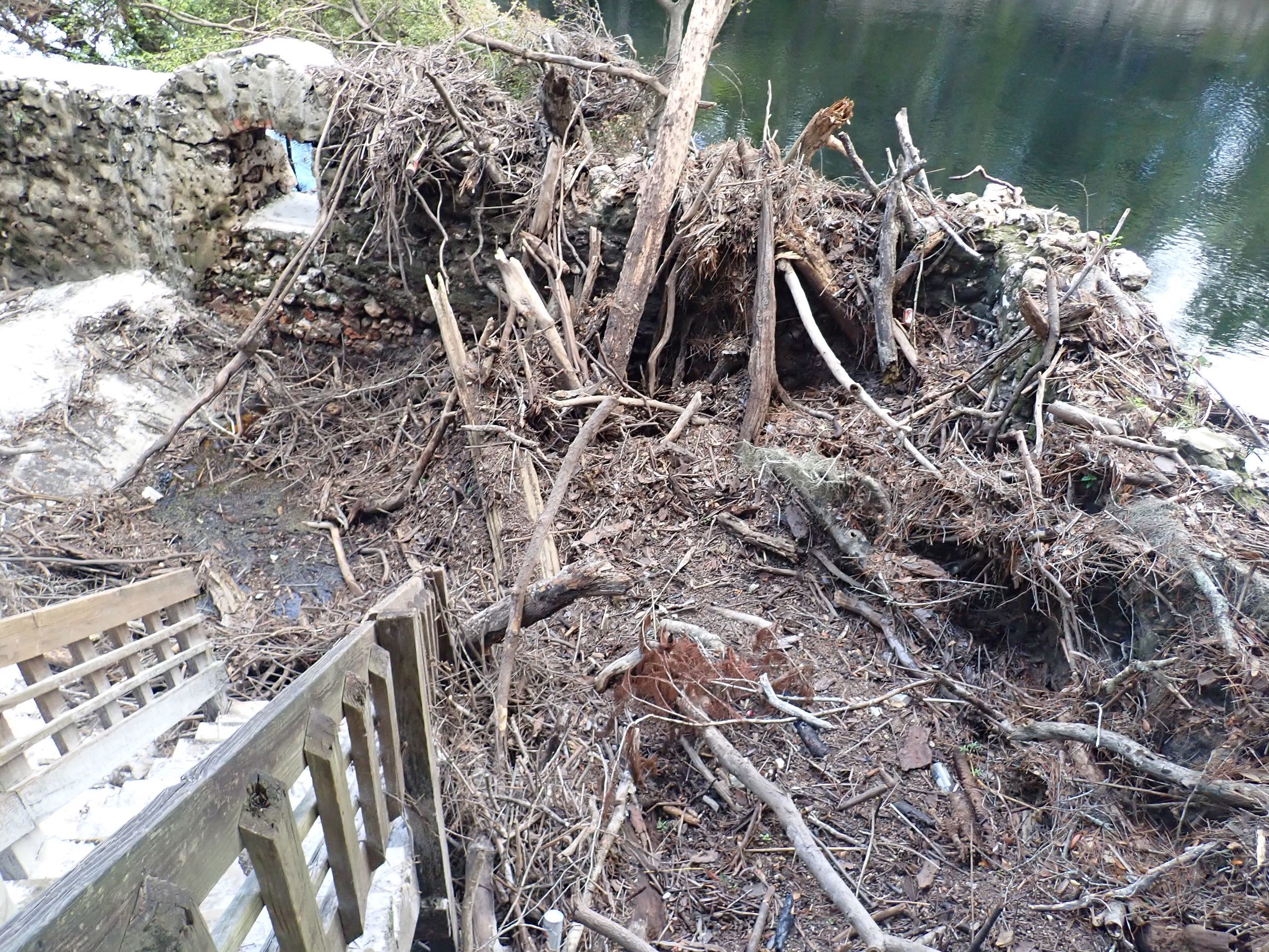 Debris at Suwannee Springs (SRWMD)