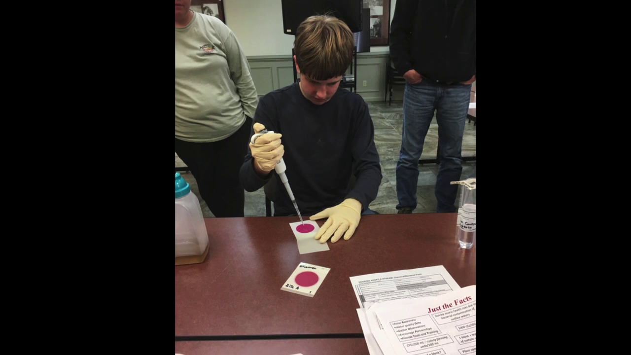 Jacob Bachrach plating