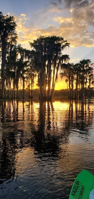 [Cypress sunset]