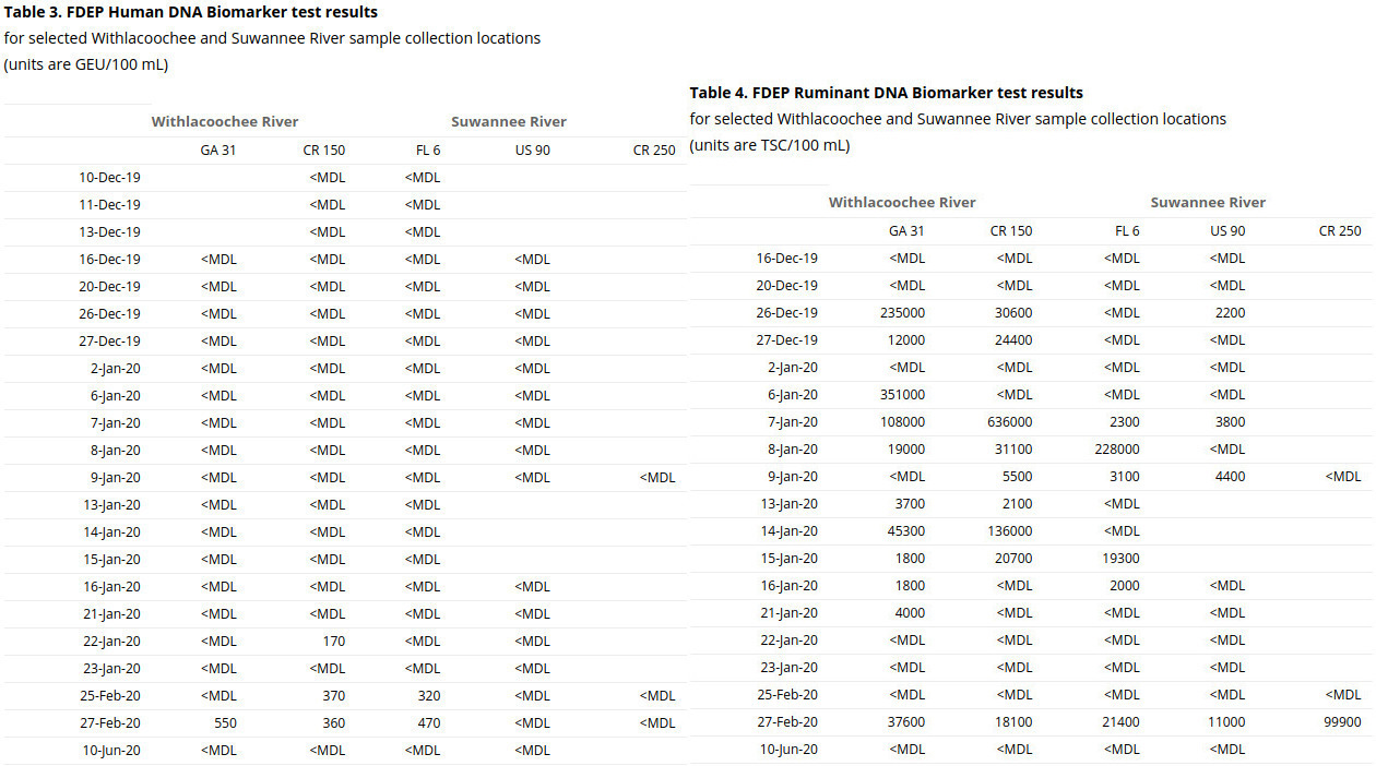 Human and Ruminant DNA markers