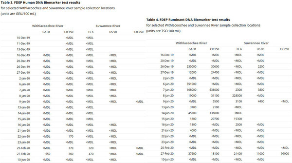 Human and Ruminant DNA markers