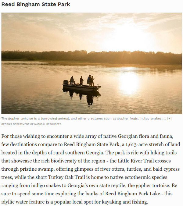 [Forbes: Reed Bingham State Park, Underrated Southern Nature Lover Destination]