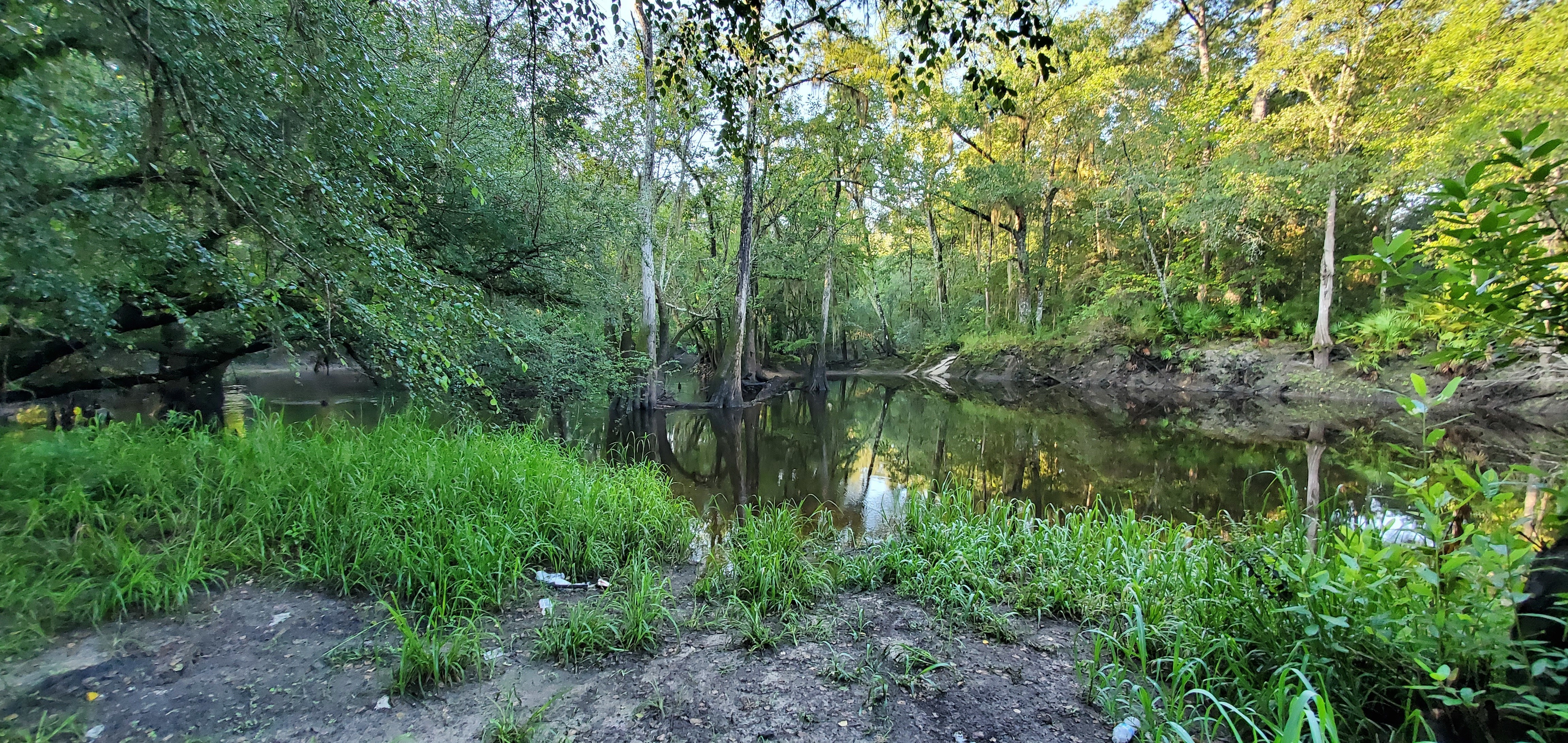 33 cfu/100 mL, Withlacoochee River @ GA 122