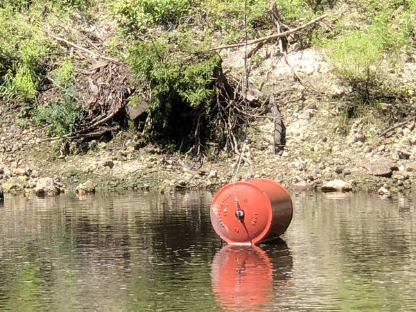 [Conn Cole: Gauge weight, Withlacoochee River @ US 84]