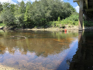 [Conn Cole: 2.24' (85.8' NAVD88; Low Stage 85.5') Withlacoochee River @ US 84]