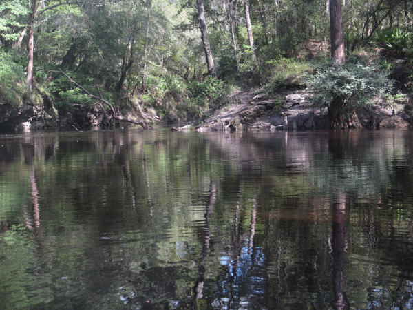 Confluence of the Alapahacoochee (left) and Alapaha (right)