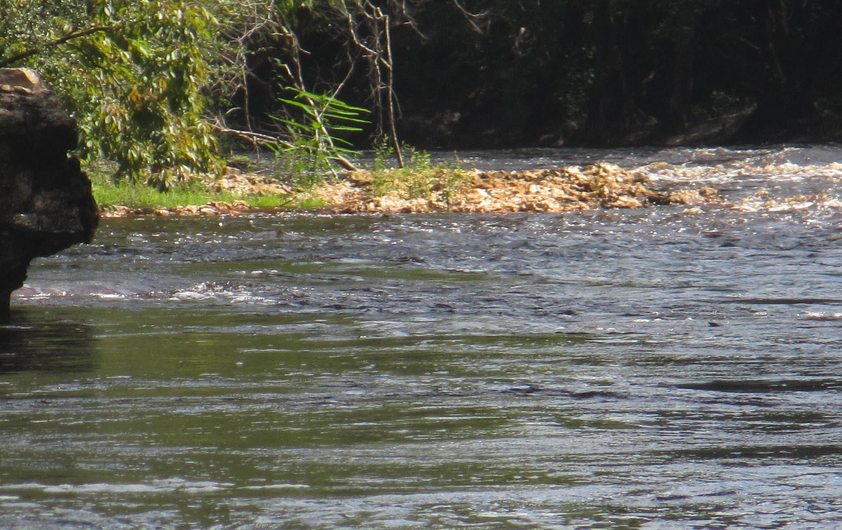 Jennings Defeat rapids looking upstream from the west river bank